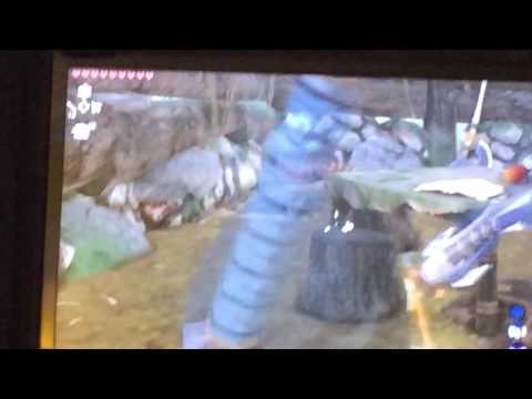 zelda botw/how to get warm doublet for free!