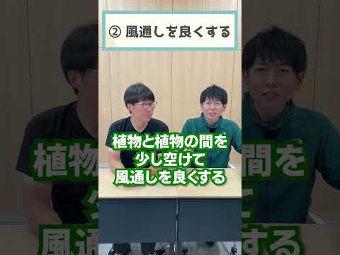 雨が降った後はプールを掃除したほうがいいですか?全てをご説明させていただきます！  庭園