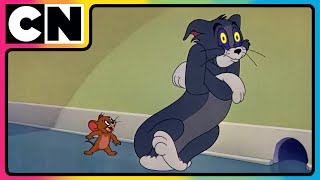 Download lagu Tom and Jerry 😺🐭| International Cat Day 😺| The OG Chaotic Besties!😆| Cat and the Mouse | @cnindia  mp3 Download lagu Tom and Jerry 😺🐭| International Cat Day 😺| The OG Chaotic Besties!😆| Cat and the Mouse | @cnindia  mp3