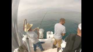 Jim Garber's Birthday Tuna