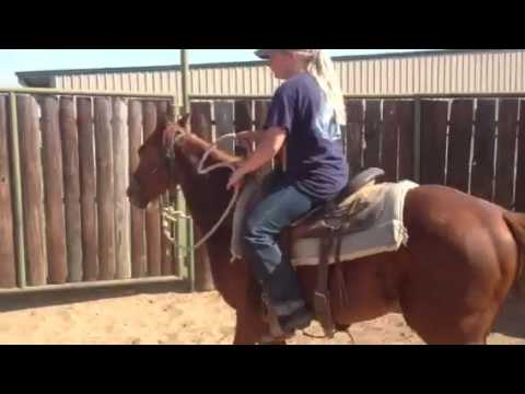 3rd ride on Smartdee