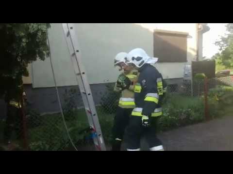Strażacy ratują kota - Tarnowskie Góry
