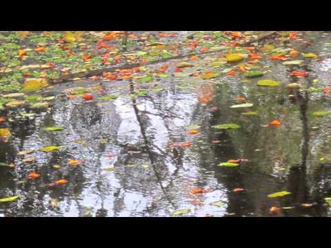 Marie Claudel       Porteurs de rêves   2014