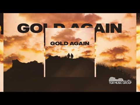 Plivi - Gold Again ft. ebba. [Official Audio]