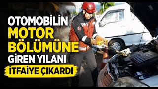Otomobilin Motor Bölümüne Giren Yılanı İtfaiye Çıkardı