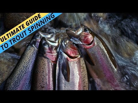 MASTERCLASS: Your Ultimate Guide To Catching Trout On Lures In Streams (Part 1)