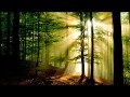 A Midsummer Nights Dream (BBC Radio 3) - YouTube