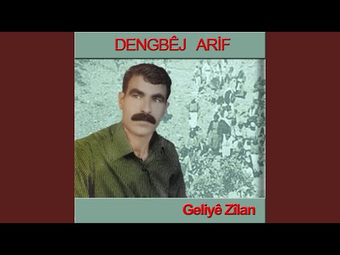 Geliyê Zîlan