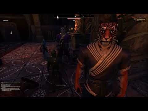 The many Types of Khajiit