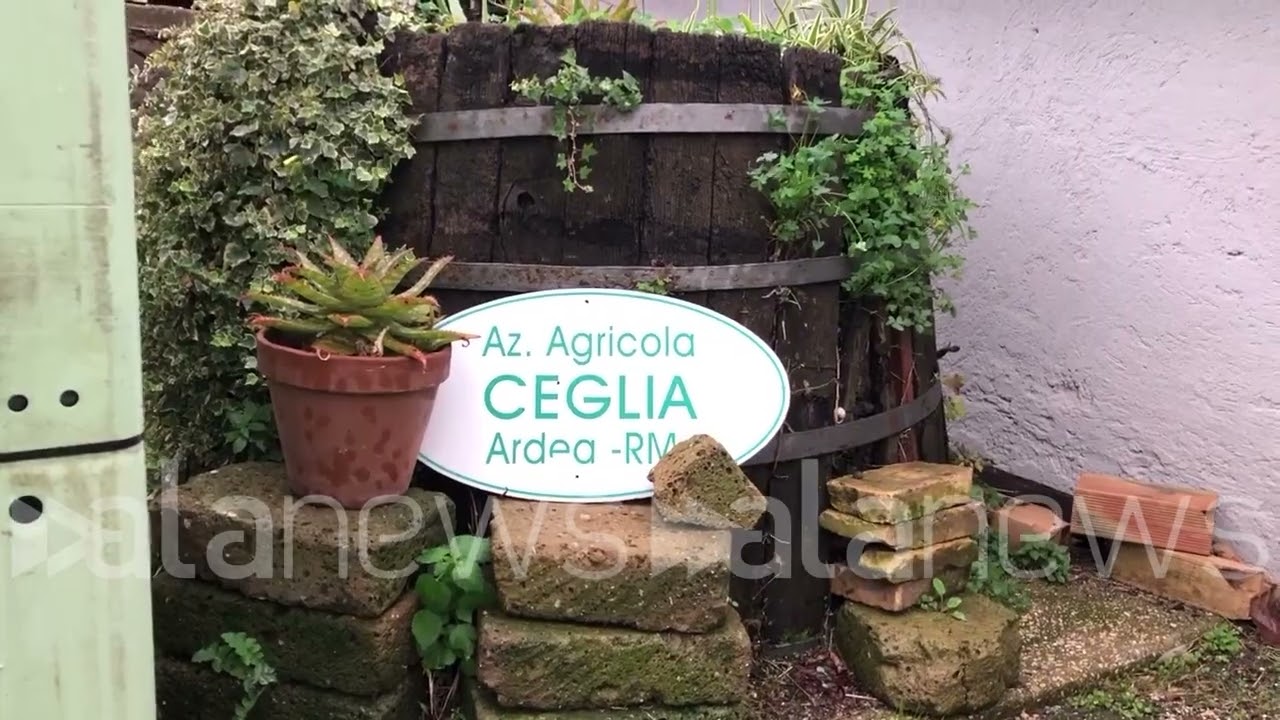 ROMA. L'ALTERNATIVA ALL' INCENERITORE DI SANTA PALOMBA C'E'!     DICIAMOLO IN MOLTI AL SINDACO