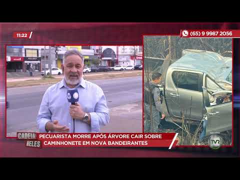 Pecuarista morre após árvore cair sobre caminhonete em Nova Bandeirantes