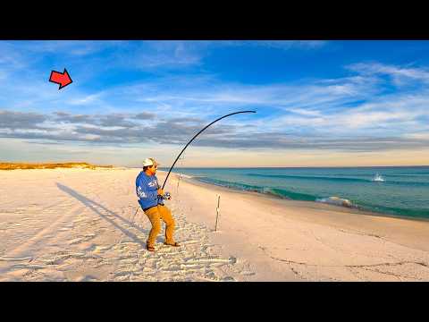 Surf Fishing the Golden Hour and Caught This!