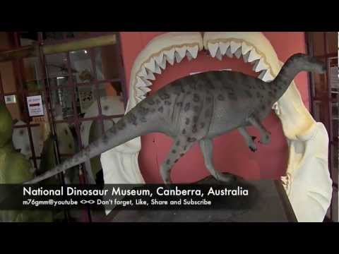 Natural Dinosaur Museum in Canberra Aust