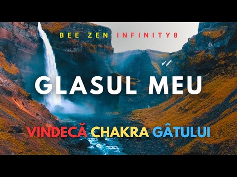 Bee Zen Infinity ✨ GLASUL MEU ✨