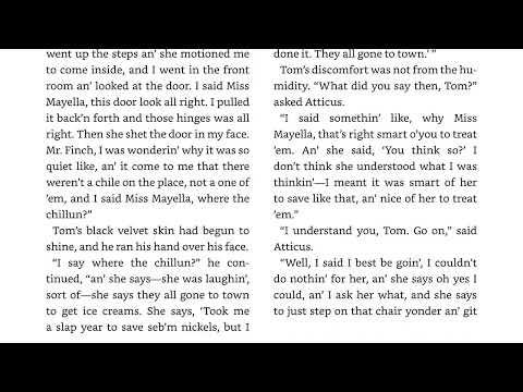 To Kill a Mockingbird - Chapter 19