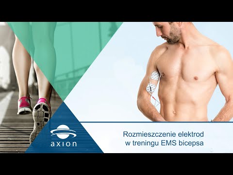 Jak coraz gluteus Anatomia człowieka mięśnie szyi