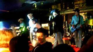 PERRA SOLEDAD (TIERRA CALI)