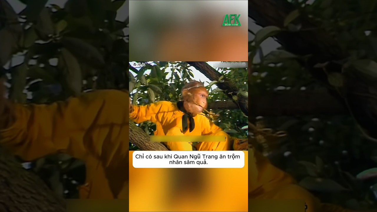 Cả đời Tôn Ngộ Không chỉ thua duy nhất một lần trong Tây Du Ký
