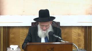 ביאורים על פרשת השבוע - פרשת עקב תשפ"ד