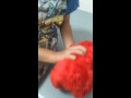 The Elmo Fart Style
