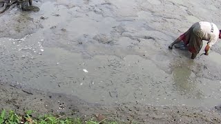Download lagu Around the fishing spot when it was flooded, it turned out that many people had already been harv... mp3