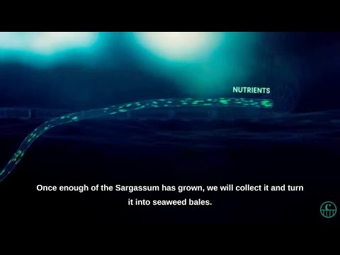 Seafields - Stommel Pipe Upwelling and Nutrient Supply