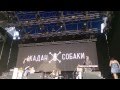 Жадан і Собаки - Рок музикант (live zaxidfest 2015) 