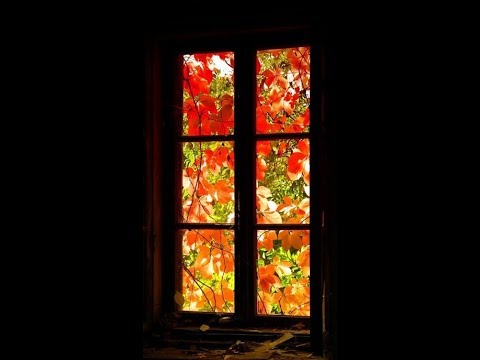 Dođi željo - Blanka Došen