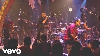Tryo - Accordéon pour les cons (Live au Cabaret Sauvage 2004)