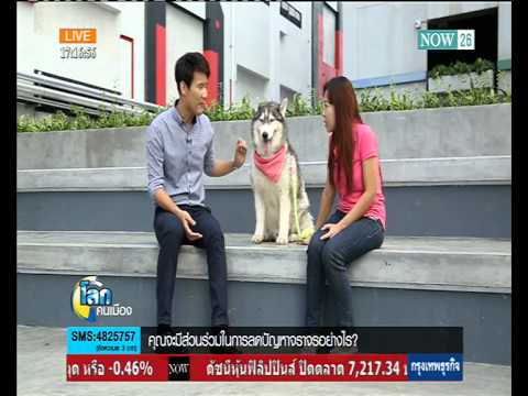 กลากบนผิวของก้น กลากเย็นในเด็ก