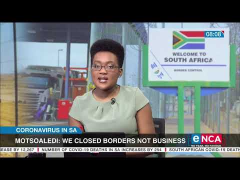 Motsoaledi justifies land border closures