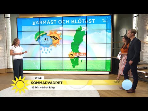 Högsommaren gör comeback - så blir vädret i dag - Nyhetsmorgon (TV4)