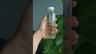 Download lagu VCO homemade 5 butir kelapa | hasil jernih no ribet dengan alat seadanya #vco #caramembuatvco mp3