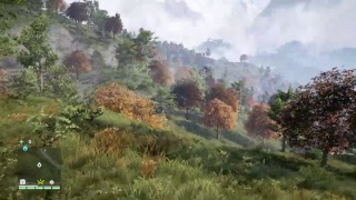 Far Cry4遊びすぎた結果が...