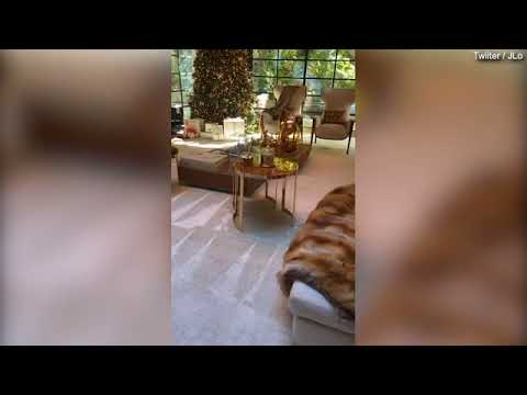 Jennifer Lopez introduces her new pet cat Hendrix