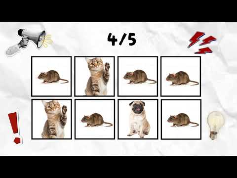 Say The Word On Beat Challenge!!!#dog #cat #viral #game #funny #foryou #say #the #word #beat #fyp 
