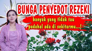 Download lagu Magical flower without magic..! The magical power of flowers that suck up fortune mp3