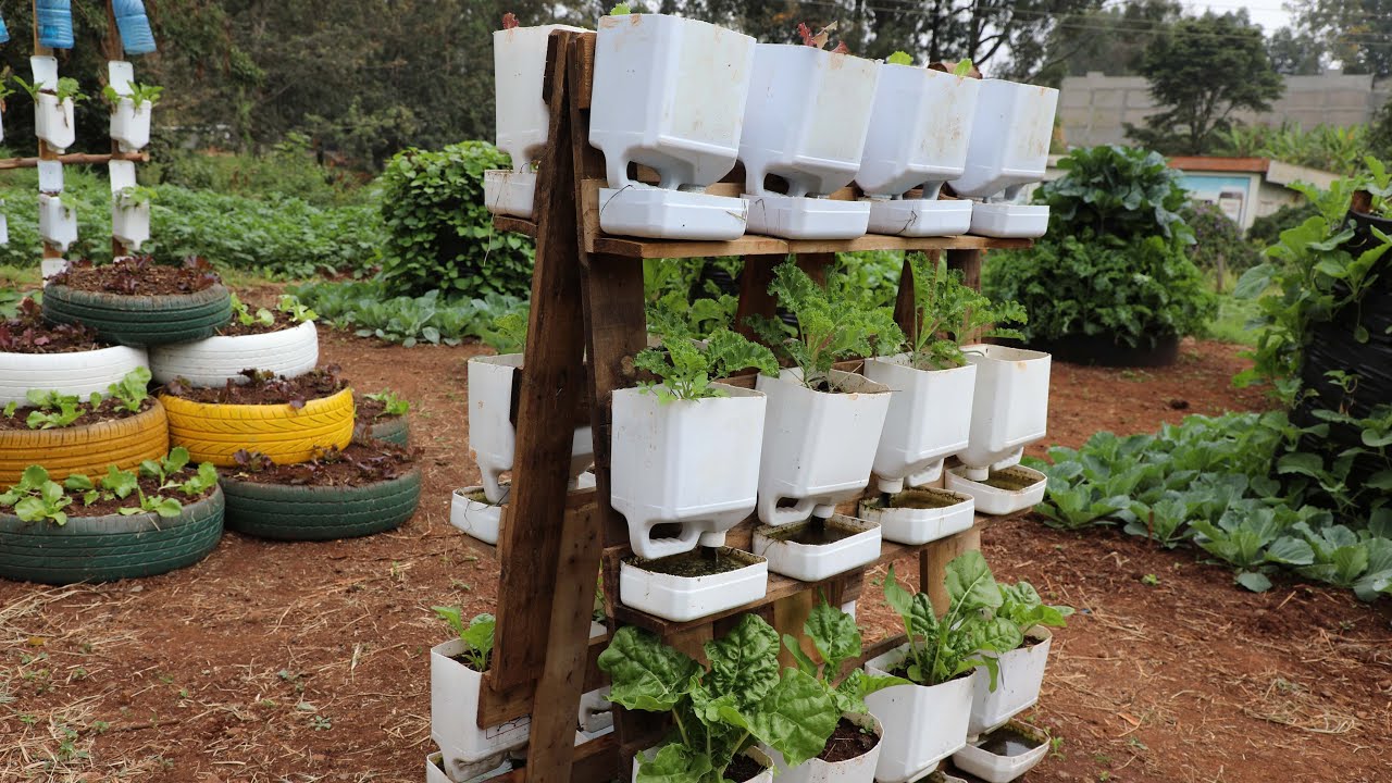 Various Kitchen Garden Technologies Documentary  || How to improve  diet diversity || ABDP Kenya