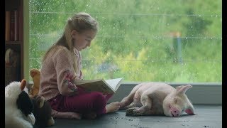 Download lagu Little Girl and Baby Pig Are The Best of Friends mp3