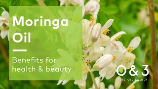Moringa Seed Oil - benefits for skin, hair and personal care formulations