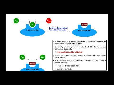 Basics of Drug Interactions EXPLAINED | Inhibition & Induction