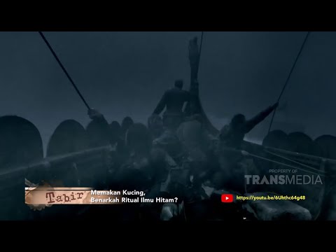 Memakan Kucing, Benarkah Ritual ilmu hitam? (TABIR TRANS TV)