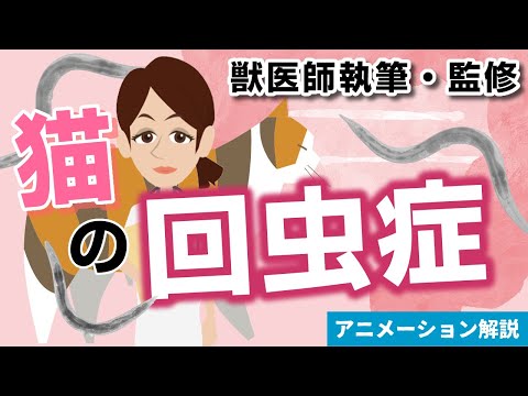 猫の寄生虫 - 症状と治療法