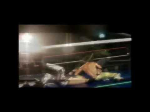 Alex Flash "Saetta Verde" - Tributo "Speciale Campioni"