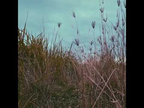 Lalahon the Deity of Agriculture (Teaser)