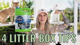 4 Litter Box Tips (+ a Litter and Book Giveaway!)