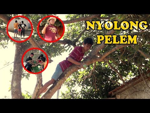 konci-43-komedi-ngapak-cilacap-nyolong-pelem