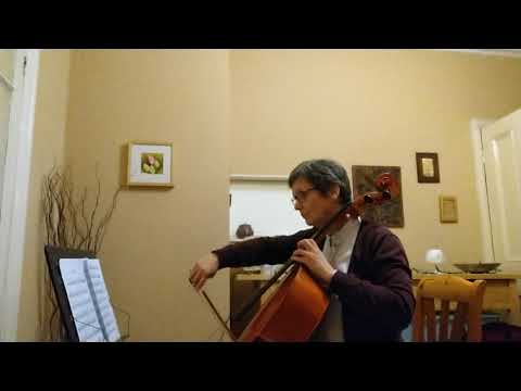 Trowell Valsette Adult cello learner 14 months