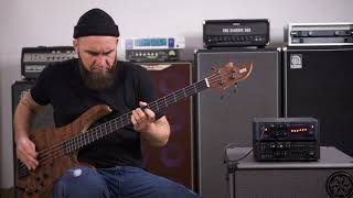 Video thumbnail for Darkglass Alpha Omega 500 Bass Amp by Gregor Fris