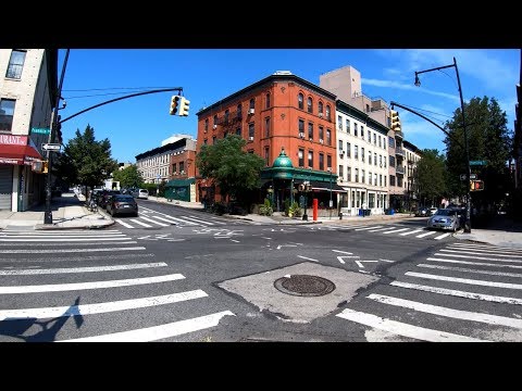 ⁴ᴷ⁶⁰ Walking NYC (Narrated) : Crown Heights, Brooklyn (Franklin Ave, Nostrand Ave) (August 19, 2019)